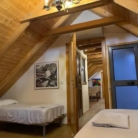 Hostel The Wanderers