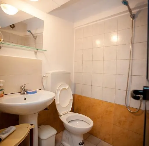 Vandrarhem The Wanderers *