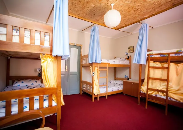 The Wanderers ホステル *