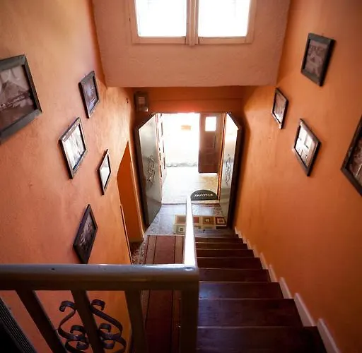 The Wanderers Vandrarhem Shkodër