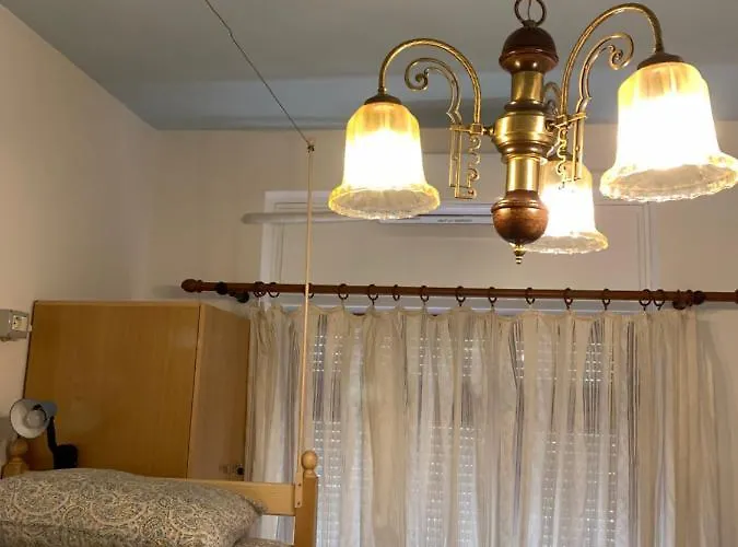 The Wanderers 호스텔