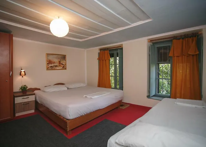 The Wanderers * Shkodër